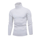 High Quality Warm Turtleneck Sweater Men Fashion Solid Knitted Mens Sweaters Casual Slim Pullover Male Double Collar Tops