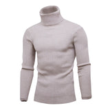 High Quality Warm Turtleneck Sweater Men Fashion Solid Knitted Mens Sweaters Casual Slim Pullover Male Double Collar Tops