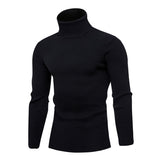 High Quality Warm Turtleneck Sweater Men Fashion Solid Knitted Mens Sweaters Casual Slim Pullover Male Double Collar Tops